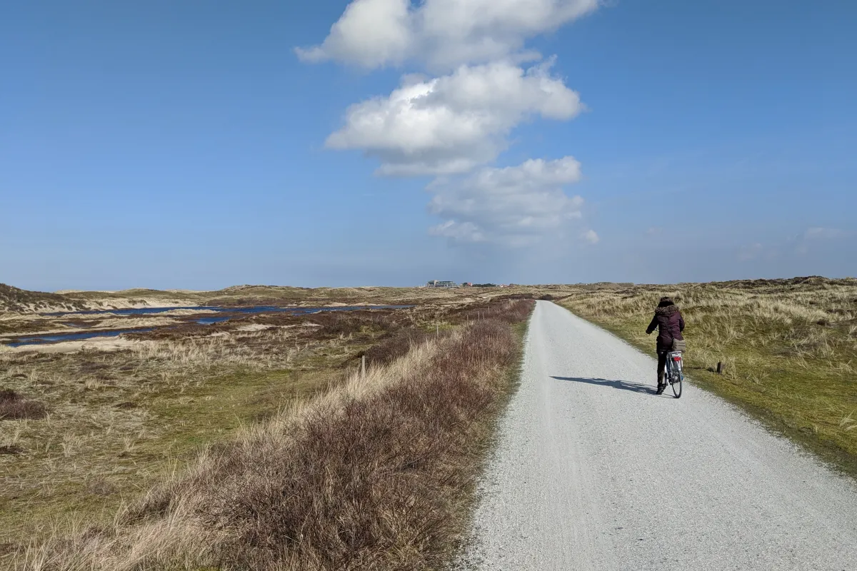 img_20200307_141302.jpg img_20200307_141302.jpg